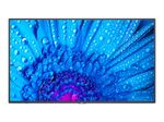 NEC MultiSync M491 PCAP 4K UHD Touch Display 124 cm (49")