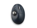 Kensington Pro Fit® Ergo TB550 Maus ergonomisch kabellos schwarz