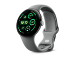 Google Pixel Watch 3 (LTE) Sportarmband 45mm, Grau/Grau