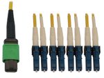 Eaton Tripp Lite Series 400G Singlemode 9/125 OS2 Switchable Fiber Optic Kabel (12F MTP/MPO-APC zu 4x Duplex LC/UPC F/M), 5 m