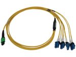 Eaton Tripp Lite Series 400G Singlemode 9/125 OS2 Switchable Fiber Optic Kabel (12F MTP/MPO-APC zu 4x Duplex LC/UPC F/M), 5 m