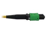 Eaton Tripp Lite Series 400G Singlemode 9/125 OS2 Switchable Fiber Optic Kabel (12F MTP/MPO-APC zu 4x Duplex LC/UPC F/M), 5 m