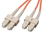 Eaton Tripp Lite Series Duplex Multimode 62.5/125 Fiber Patch Kabel (SC/SC), 1M (3 ft.)