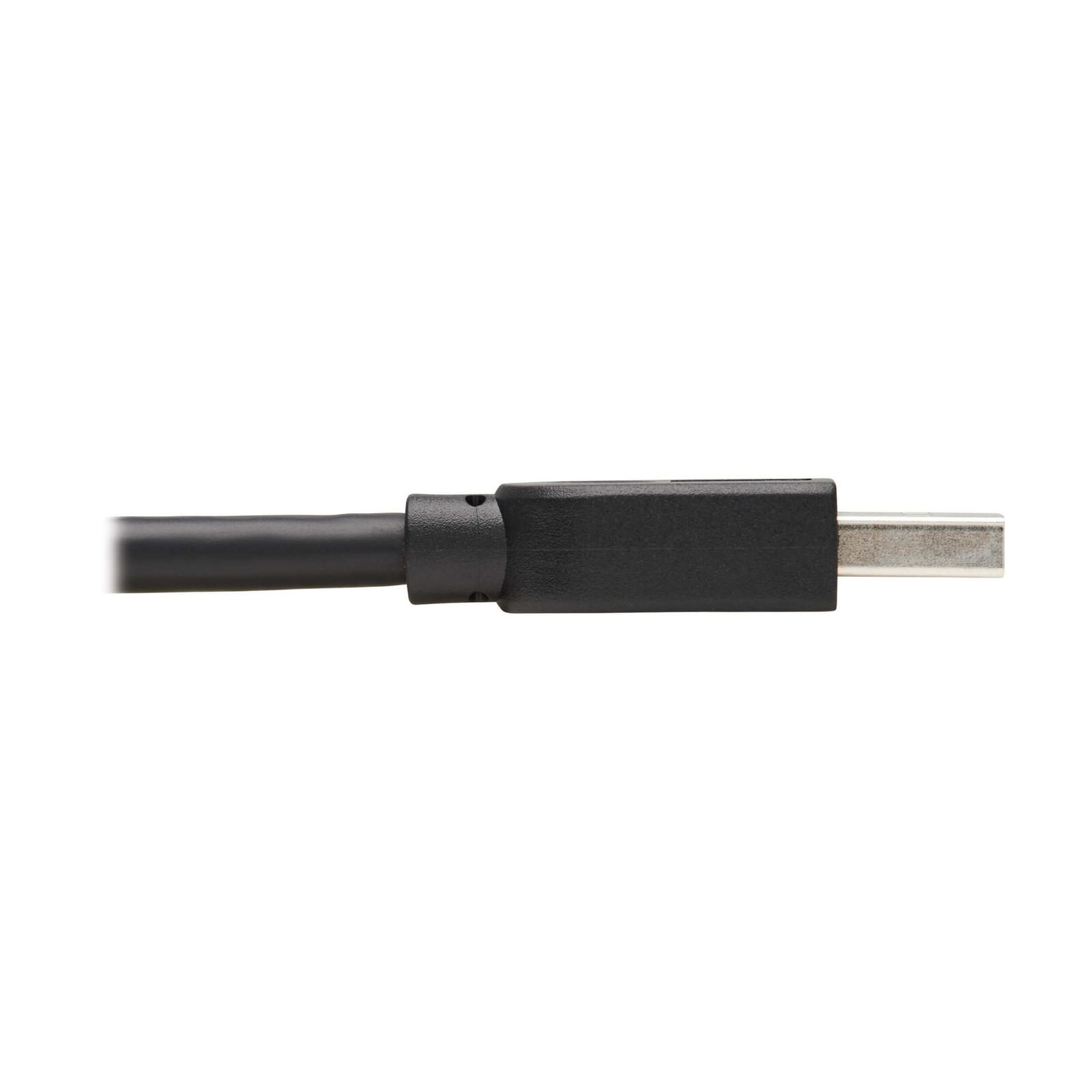 Eaton Tripp Lite Series USB 3.0 SuperSpeed A zu A Kabel for Tripp Lite USB 3.0 All-in-One Keyszune/Panel Mount Couplers (Stecker/Stecker), Schwarz, 10 ft. (3 m)