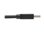 Eaton Tripp Lite Series USB 3.0 SuperSpeed A zu A Kabel for Tripp Lite USB 3.0 All-in-One Keyszune/Panel Mount Couplers (Stecker/Stecker), Schwarz, 10 ft. (3 m)