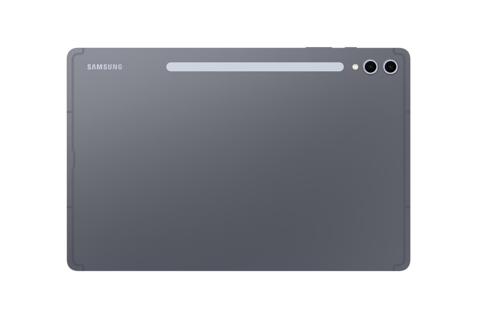 Samsung Galaxy Tab S10+ Wi-Fi 31,50 cm (12,4 Zoll) Moonstone Gray
