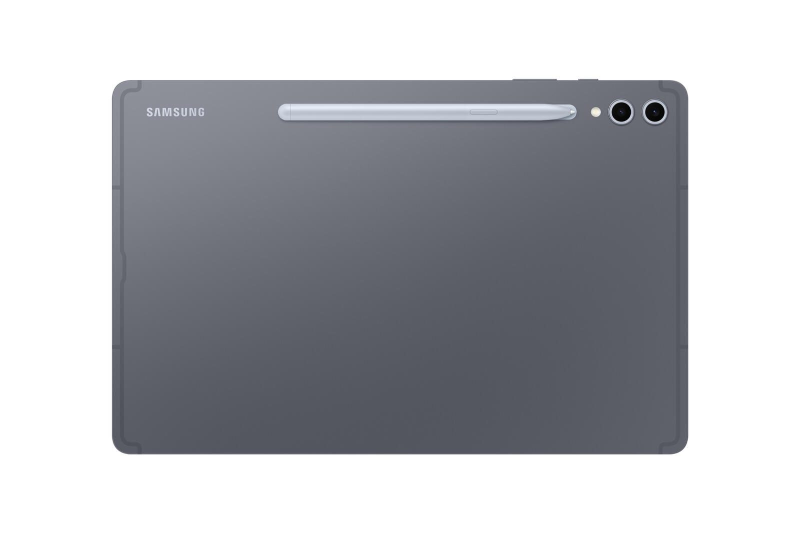 Samsung Galaxy Tab S10+ 5G 31,50 cm (12,4 Zoll) Moonstone Gray