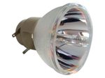 Beamerlampe (nur Leuchtmittel) für RICOH (ersetzt: 308931 TYPE4)