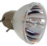 Beamerlampe (nur Leuchtmittel) für RICOH (ersetzt: 308931 TYPE4)