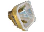 Beamerlampe (nur Leuchtmittel) für SONY (ersetzt: LMP-C120)