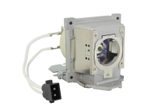 Beamerlampe für BenQ (ersetzt: 5J.J8C05.001)