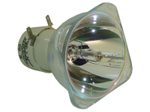 Beamerlampe (nur Leuchtmittel) für BENQ (ersetzt: 5J.J7C05.001)