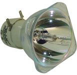 Beamerlampe (nur Leuchtmittel) für BENQ (ersetzt: 5J.06001.001)