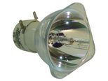 Beamerlampe (nur Leuchtmittel) für BENQ (ersetzt: 5J.06001.001)