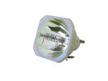 Beamerlampe (nur Leuchtmittel) für EPSON (ersetzt: ELPLP51, V13H010L51 (SINGLE LAMP))
