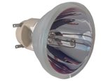 Beamerlampe (nur Leuchtmittel) für OPTOMA (ersetzt: SP.7AZ01GC01 BL-FP240G)