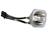 Beamerlampe (nur Leuchtmittel) für TOSHIBA (ersetzt: TLPLMT20)