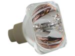 Beamerlampe (nur Leuchtmittel) für TOSHIBA (ersetzt: TLPLW3)