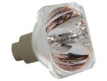 Beamerlampe (nur Leuchtmittel) für TOSHIBA (ersetzt: TLPLV6)