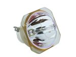 Beamerlampe (nur Leuchtmittel) für RICOH (ersetzt: 308933, LAMP TYPE 7)