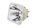 Beamerlampe (nur Leuchtmittel) für HITACHI (ersetzt: DT01471)