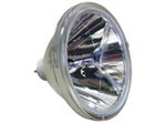 Beamerlampe (nur Leuchtmittel) für TOSHIBA (ersetzt: TLPL2)