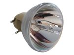 Beamerlampe (nur Leuchtmittel) für I3 TECHNOLOGIES (ersetzt: I3LAMP)