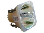 Beamerlampe (nur Leuchtmittel) für 3D PERCEPTION (ersetzt: 400-0402-00)