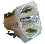 Beamerlampe (nur Leuchtmittel) für 3D PERCEPTION (ersetzt: 400-0402-00)