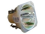 Beamerlampe (nur Leuchtmittel) für 3D PERCEPTION (ersetzt: 400-0402-00)