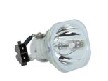 Beamerlampe (nur Leuchtmittel) für TOSHIBA (ersetzt: TLPLW10)