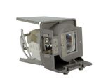 Beamerlampe für VIEWSONIC (ersetzt: RLC-075)