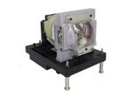 BARCO R9801343 Beamerlampe Originalmodul
