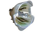 Beamerlampe (nur Leuchtmittel) für 3D PERCEPTION (ersetzt: 001-821)