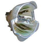 Beamerlampe (nur Leuchtmittel) für 3D PERCEPTION (ersetzt: 001-821)