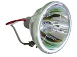 Beamerlampe (nur Leuchtmittel) für A+K (ersetzt: 21 289)