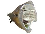 Beamerlampe (nur Leuchtmittel) für BENQ (ersetzt: 5J.J4D05.001)