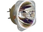 Beamerlampe (nur Leuchtmittel) für EIKI (ersetzt: 5811118436-SEK)