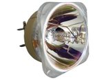 Beamerlampe (nur Leuchtmittel) für EIKI (ersetzt: 5811118436-SEK)