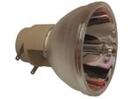 Beamerlampe (nur Leuchtmittel) für BENQ (ersetzt: 5J.JKC05.001, 5J.JKC05.A01)