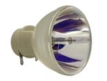 Beamerlampe (nur Leuchtmittel) für OPTOMA (ersetzt: 5811118543-SOT BL-FP240D)