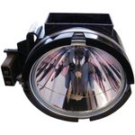 Beamerlampe für BARCO (ersetzt: R9842440, R764454)