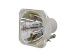 Beamerlampe (nur Leuchtmittel) für 3D PERCEPTION (ersetzt: 400-0402-00)