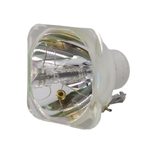 Beamerlampe (nur Leuchtmittel) für 3D PERCEPTION (ersetzt: 400-0402-00)