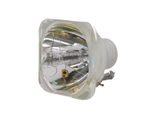 Beamerlampe (nur Leuchtmittel) für 3D PERCEPTION (ersetzt: 400-0402-00)