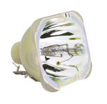 Beamerlampe (nur Leuchtmittel) für OPTOMA (ersetzt: SP.70B01GC01 BL-FU310D)