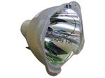 Beamerlampe (nur Leuchtmittel) für CHRISTIE (ersetzt: 003-120504-01)