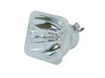 Beamerlampe (nur Leuchtmittel) für PANASONIC (ersetzt: ET-LAT100, 610 349 0847)
