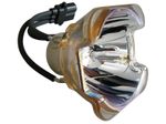 Beamerlampe (nur Leuchtmittel) für TOSHIBA (ersetzt: TLPLW14)
