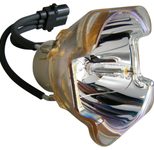 Beamerlampe (nur Leuchtmittel) für TOSHIBA (ersetzt: TLPLW14)